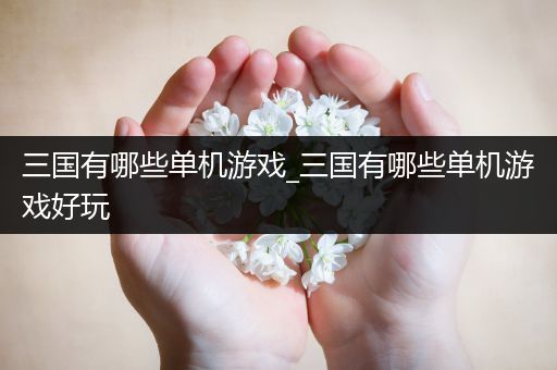 三国有哪些单机游戏_三国有哪些单机游戏好玩