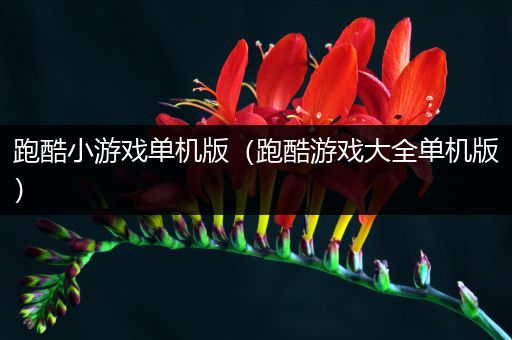 跑酷小游戏单机版（跑酷游戏大全单机版）