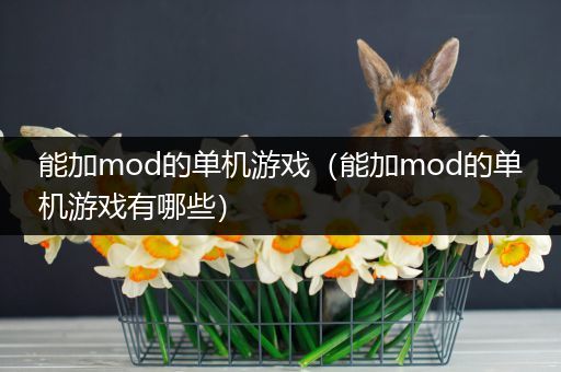 能加mod的单机游戏（能加mod的单机游戏有哪些）