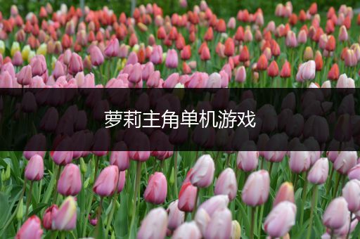 萝莉主角单机游戏