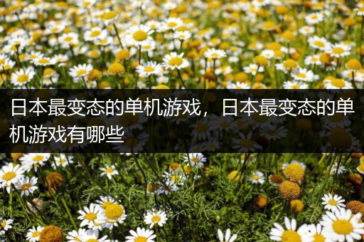 日本最变态的单机游戏，日本最变态的单机游戏有哪些