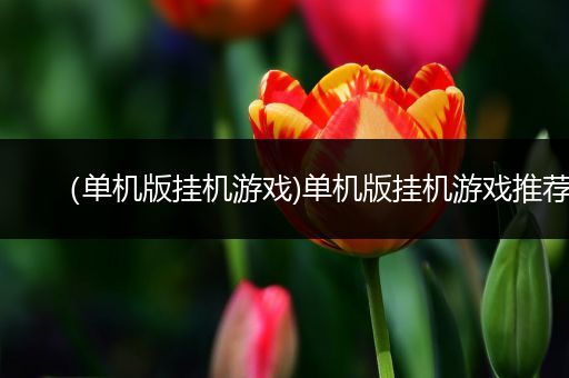 （单机版挂机游戏)单机版挂机游戏推荐