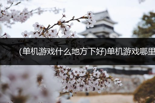（单机游戏什么地方下好)单机游戏哪里