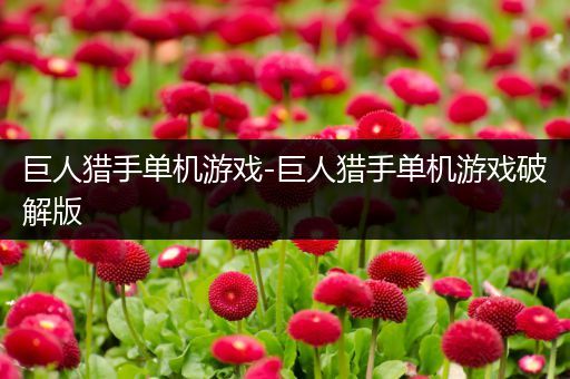 巨人猎手单机游戏-巨人猎手单机游戏破解版