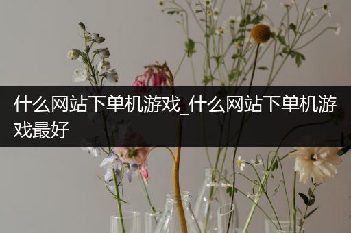 什么网站下单机游戏_什么网站下单机游戏最好