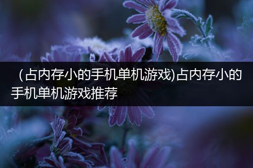 （占内存小的手机单机游戏)占内存小的手机单机游戏推荐
