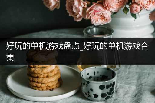 好玩的单机游戏盘点_好玩的单机游戏合集
