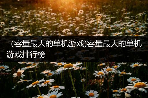 （容量最大的单机游戏)容量最大的单机游戏排行榜