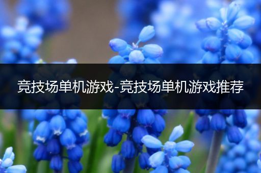 竞技场单机游戏-竞技场单机游戏推荐