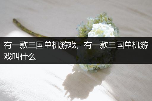 有一款三国单机游戏，有一款三国单机游戏叫什么