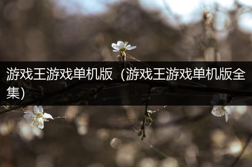 游戏王游戏单机版（游戏王游戏单机版全集）