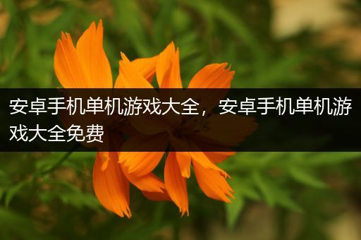 安卓手机单机游戏大全，安卓手机单机游戏大全免费