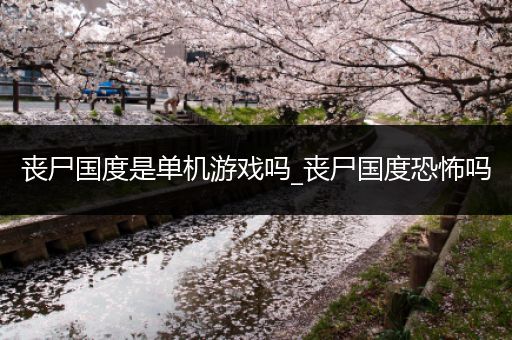丧尸国度是单机游戏吗_丧尸国度恐怖吗