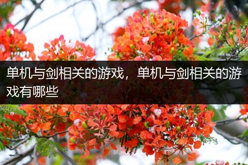 单机与剑相关的游戏，单机与剑相关的游戏有哪些