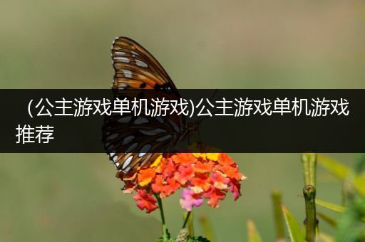 （公主游戏单机游戏)公主游戏单机游戏推荐