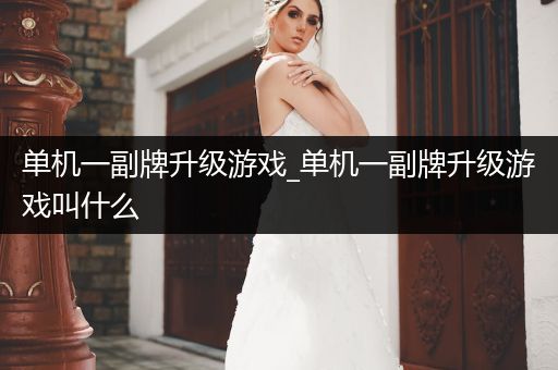 单机一副牌升级游戏_单机一副牌升级游戏叫什么