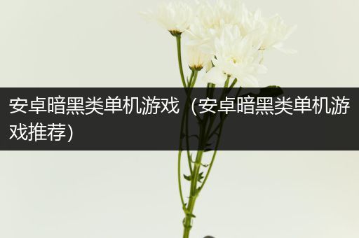 安卓暗黑类单机游戏（安卓暗黑类单机游戏推荐）