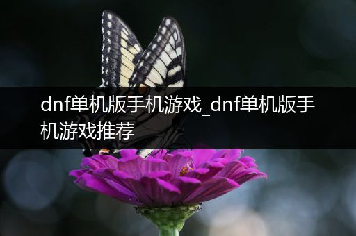 dnf单机版手机游戏_dnf单机版手机游戏推荐