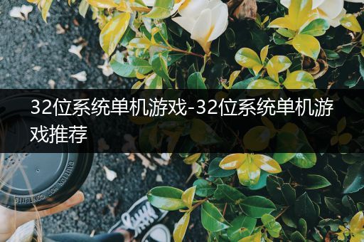 32位系统单机游戏-32位系统单机游戏推荐