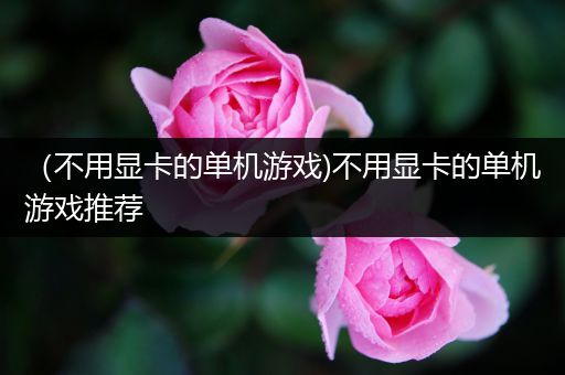 （不用显卡的单机游戏)不用显卡的单机游戏推荐