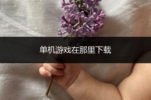 单机游戏在那里下载