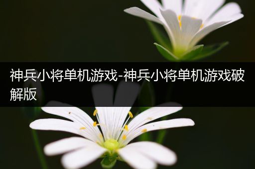 神兵小将单机游戏-神兵小将单机游戏破解版