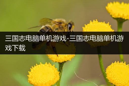 三国志电脑单机游戏-三国志电脑单机游戏下载