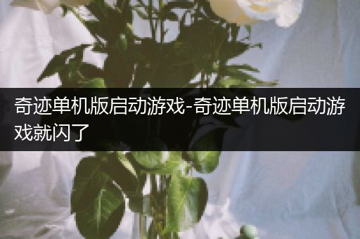 奇迹单机版启动游戏-奇迹单机版启动游戏就闪了