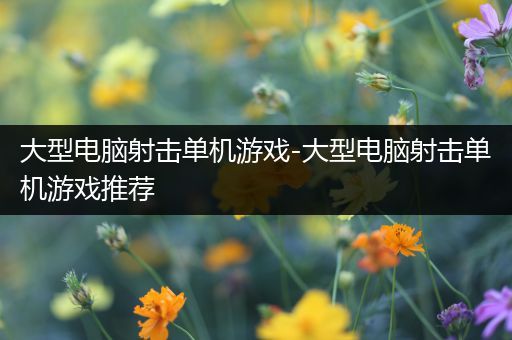 大型电脑射击单机游戏-大型电脑射击单机游戏推荐