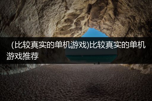 （比较真实的单机游戏)比较真实的单机游戏推荐