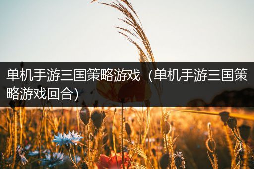 单机手游三国策略游戏（单机手游三国策略游戏回合）