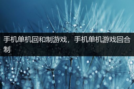 手机单机回和制游戏，手机单机游戏回合制