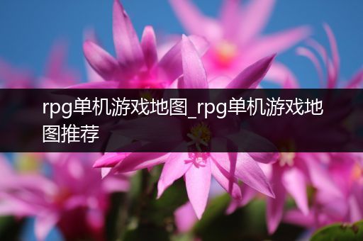 rpg单机游戏地图_rpg单机游戏地图推荐