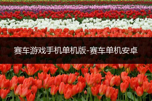 赛车游戏手机单机版-赛车单机安卓
