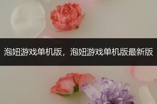 泡妞游戏单机版，泡妞游戏单机版最新版