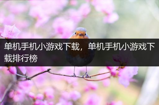 单机手机小游戏下载，单机手机小游戏下载排行榜