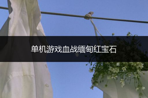 单机游戏血战缅甸红宝石