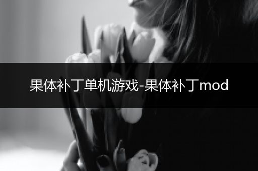 果体补丁单机游戏-果体补丁mod