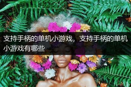 支持手柄的单机小游戏，支持手柄的单机小游戏有哪些