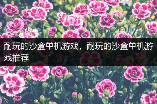 耐玩的沙盒单机游戏，耐玩的沙盒单机游戏推荐