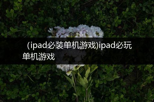 （ipad必装单机游戏)ipad必玩单机游戏