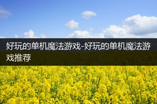 好玩的单机魔法游戏-好玩的单机魔法游戏推荐