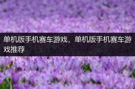 单机版手机赛车游戏，单机版手机赛车游戏推荐