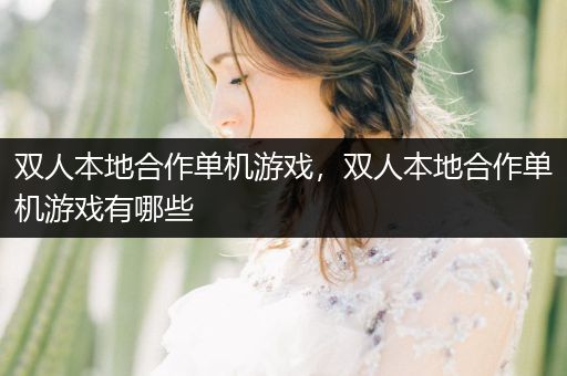双人本地合作单机游戏，双人本地合作单机游戏有哪些