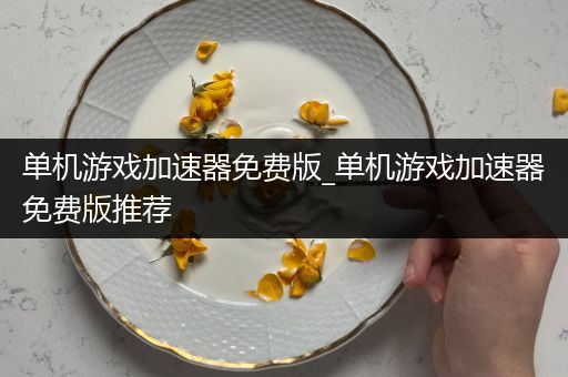 单机游戏加速器免费版_单机游戏加速器免费版推荐