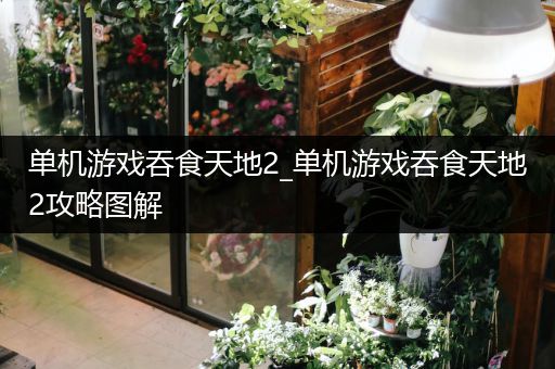 单机游戏吞食天地2_单机游戏吞食天地2攻略图解
