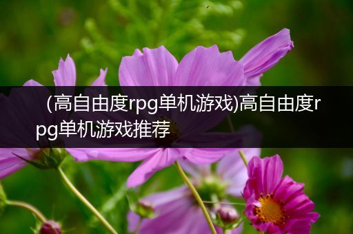 （高自由度rpg单机游戏)高自由度rpg单机游戏推荐