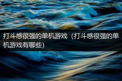 打斗感很强的单机游戏（打斗感很强的单机游戏有哪些）