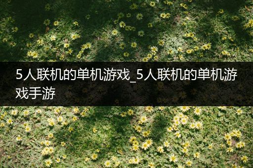 5人联机的单机游戏_5人联机的单机游戏手游