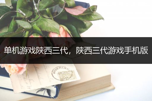 单机游戏陕西三代，陕西三代游戏手机版